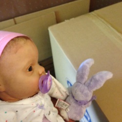 Lifelike reborn baby doll and boxes