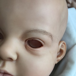 reborn doll rooted eyebrows arianna by reva schick